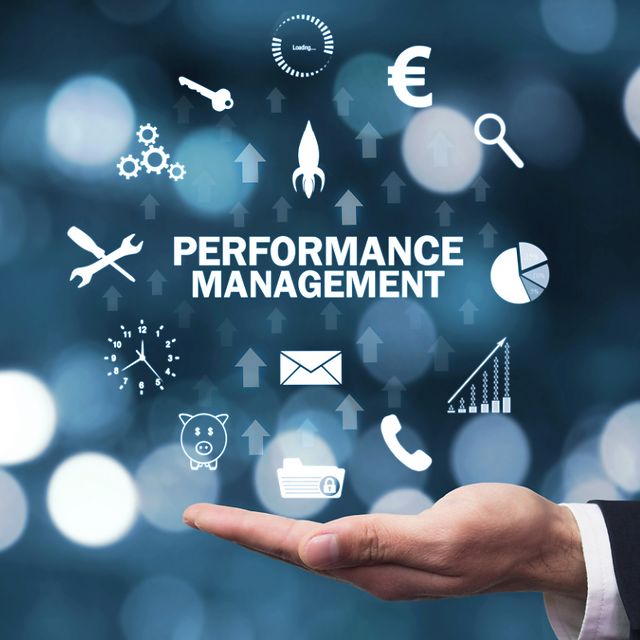 Certificate in Performance Measurement